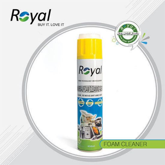 اسپری وپاک کننده فرچه داررویال